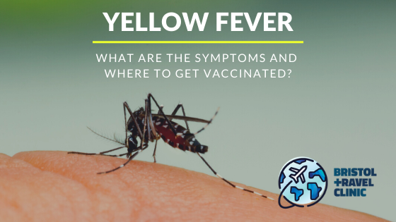 What is Yellow Fever And Where Can I Get Vaccinated? - Bristol Travel ...